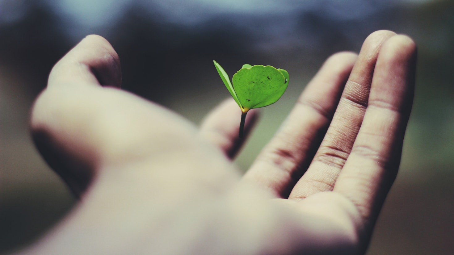 Reflections on Building Emotional Connections