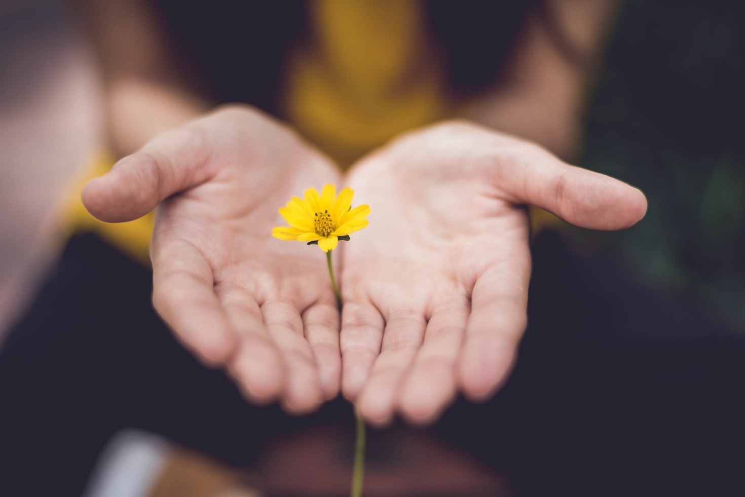 Finding Joy in Moments of Healing